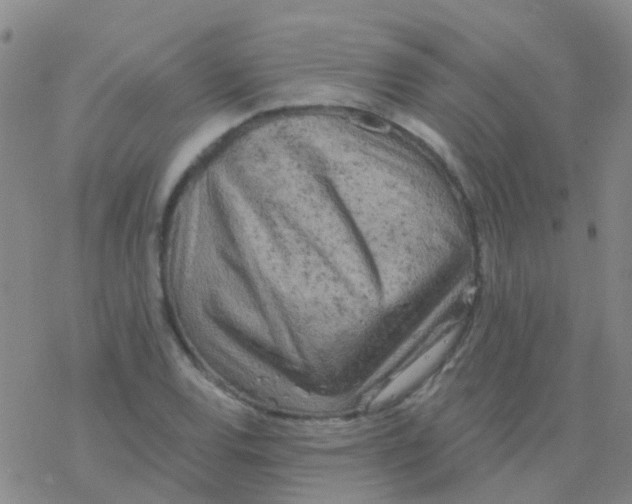 X0000076301120200610271907