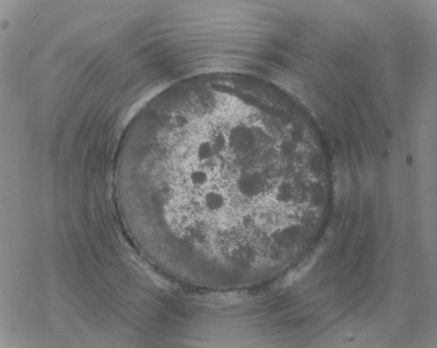 X0000076301121200610271907