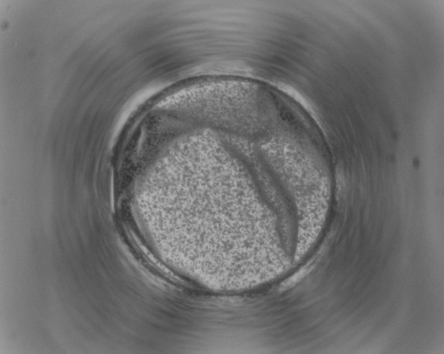 X0000076301123200610271907