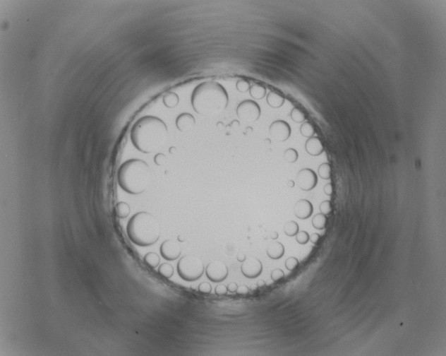 X0000076301126200610271907