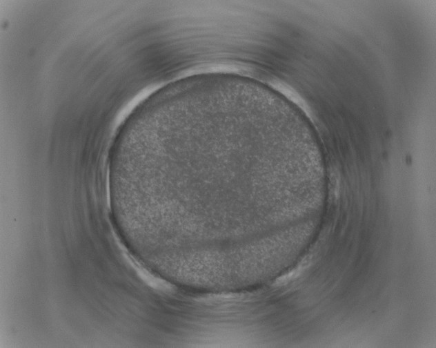 X0000076301127200610271907