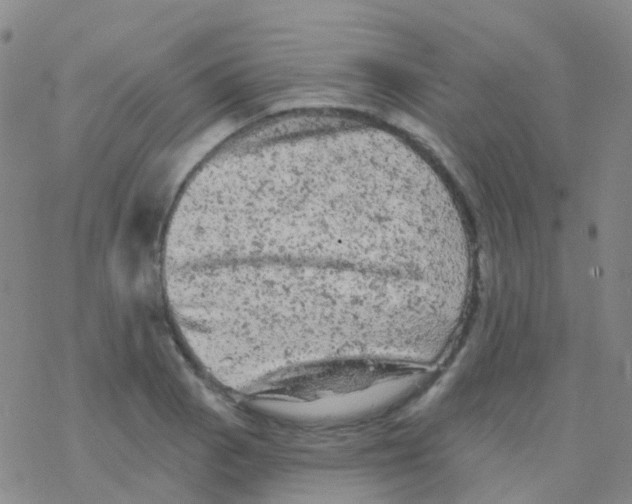 X0000076301129200610271907