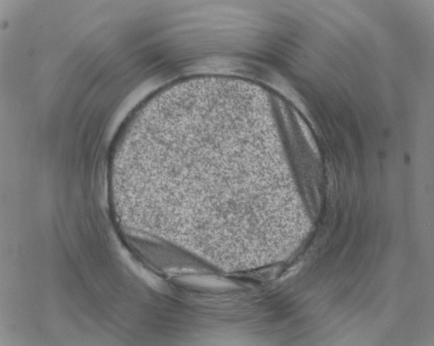 X0000076301131200610271907