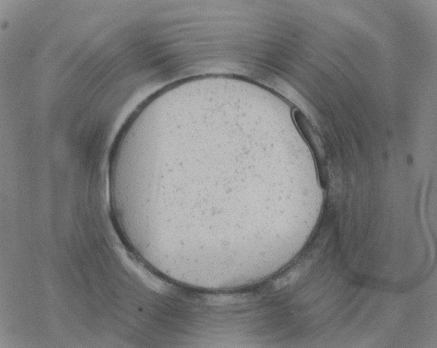 X0000076301132200610271907