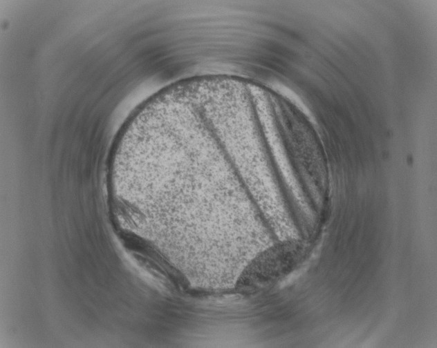 X0000076301133200610271907