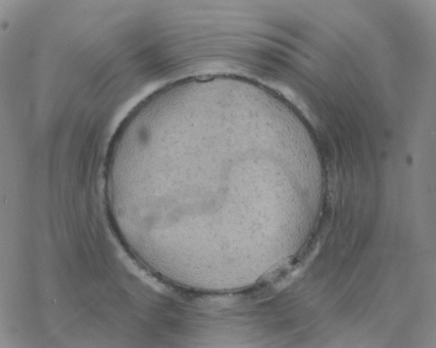 X0000076301134200610271907