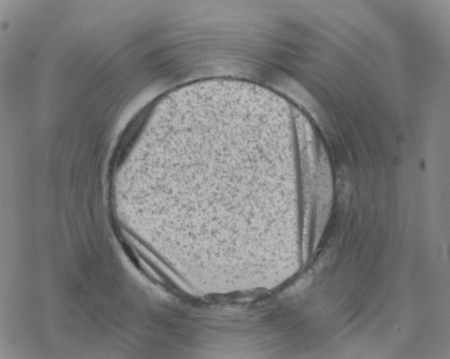 X0000076301135200610271907