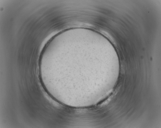 X0000076301136200610271907