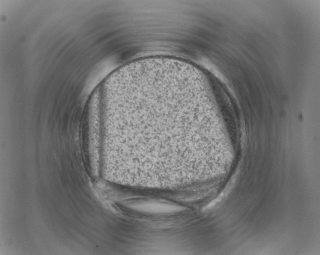 X0000076301137200610271907