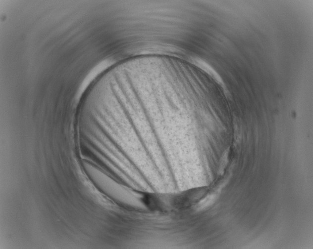 X0000076301138200610271907