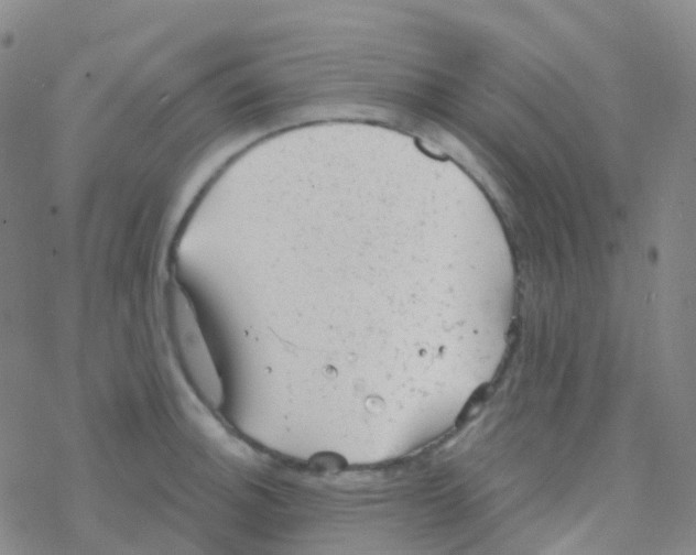 X0000076301140200610271907