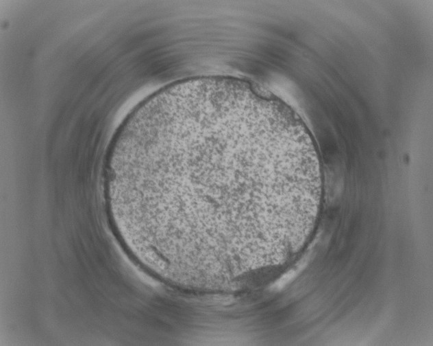 X0000076301141200610271907