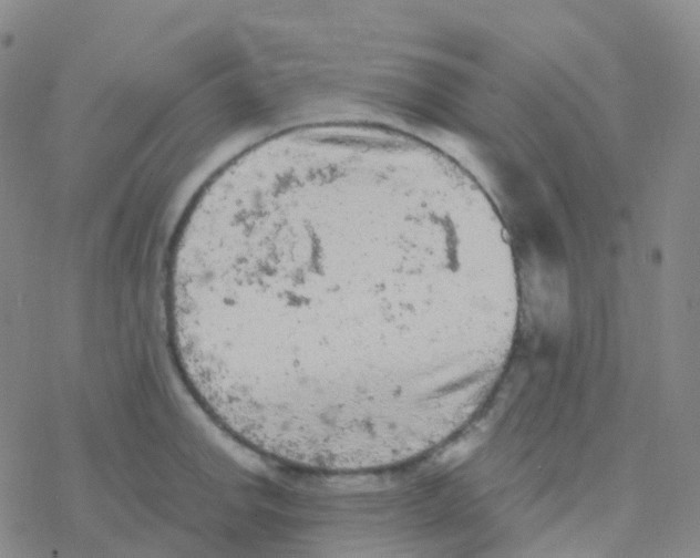 X0000076301142200610271907