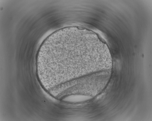 X0000076301143200610271907