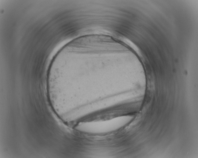 X0000076301144200610271907