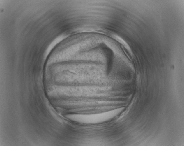 X0000076301146200610271908