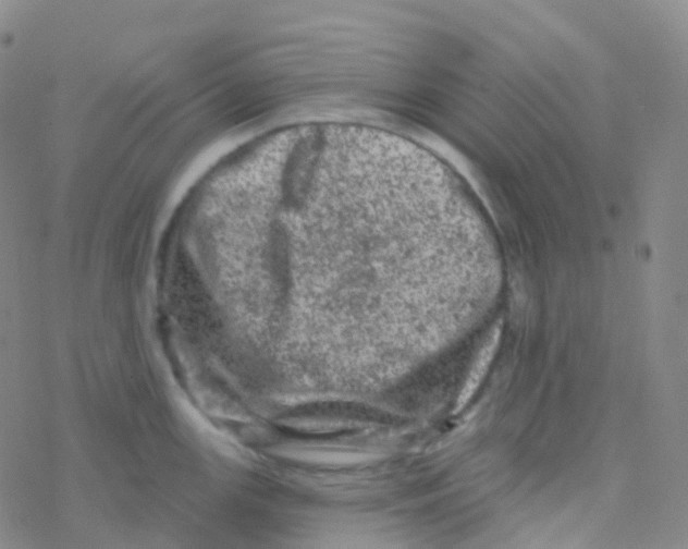 X0000076301147200610271908