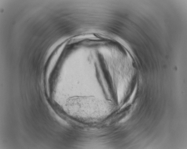 X0000076301149200610271908