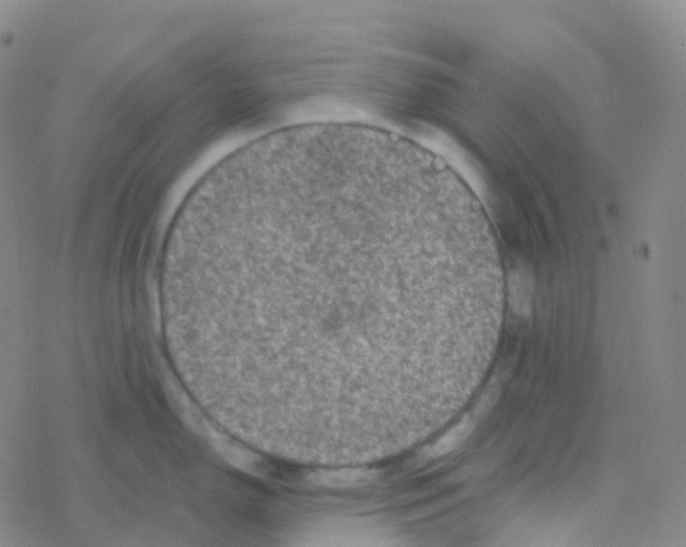 X0000076301150200610271908