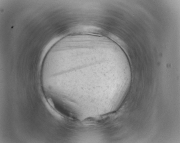 X0000076301152200610271908