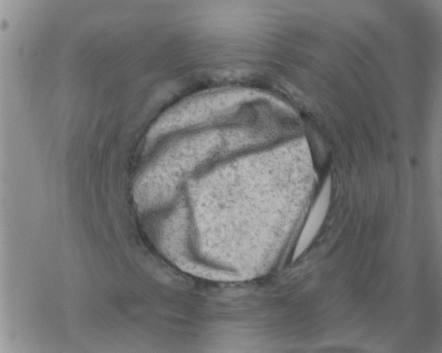 X0000076301153200610271907