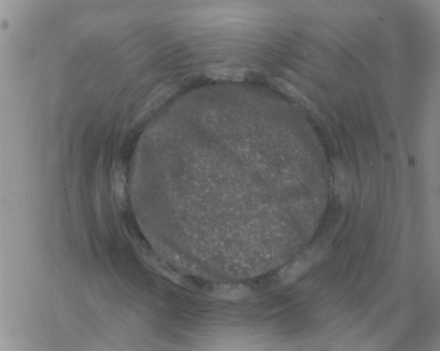 X0000076301154200610271907