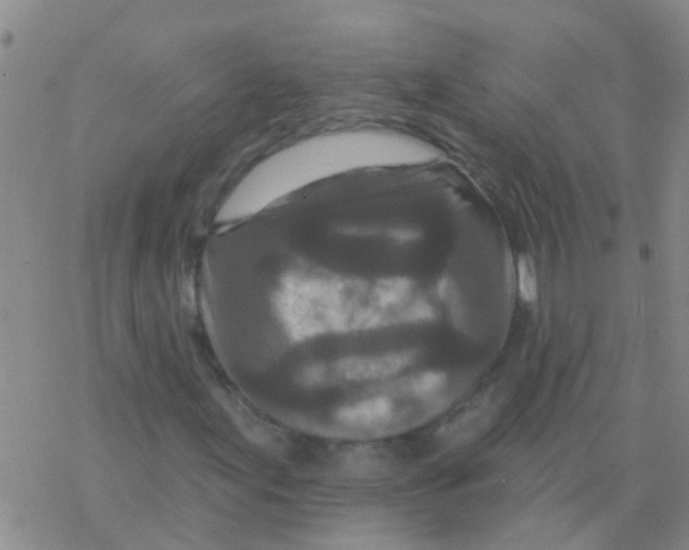 X0000076301155200610271907