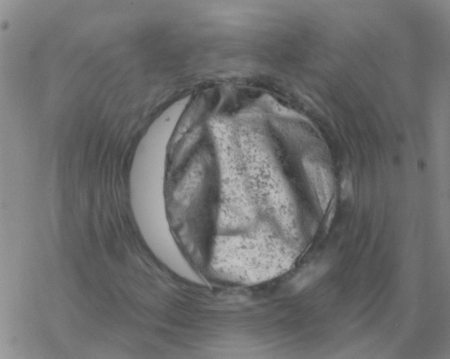 X0000076301156200610271907