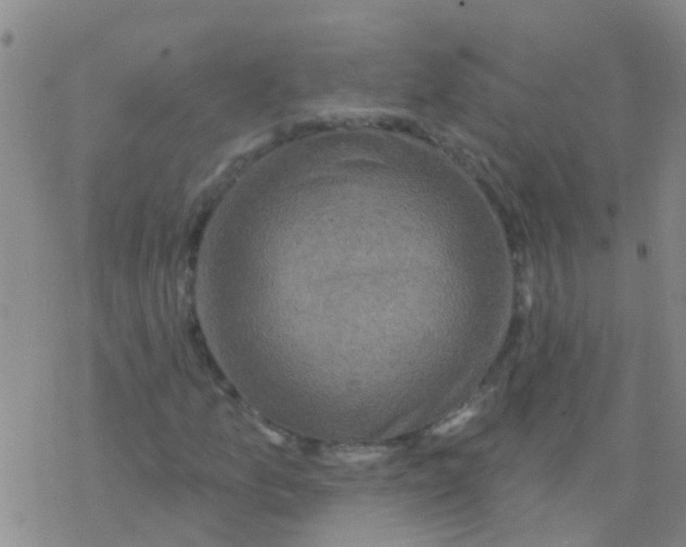 X0000076301157200610271907