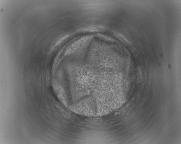 X0000076301158200610271907