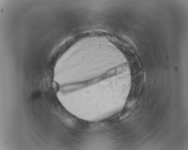 X0000076301159200610271907