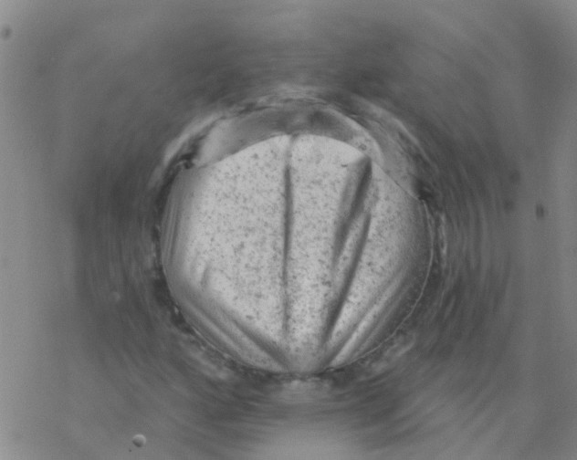 X0000076301160200610271907