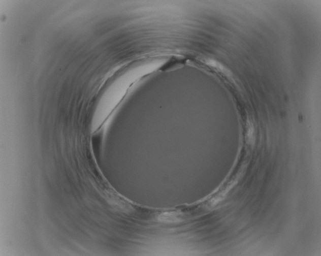 X0000076301161200610271907