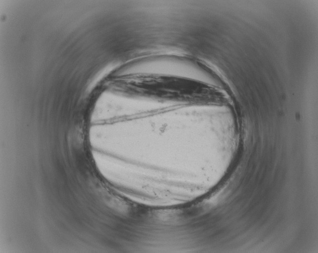 X0000076301163200610271907