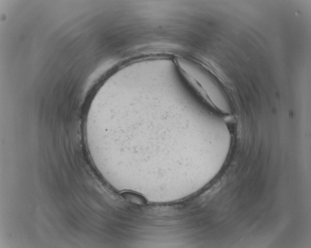 X0000076301164200610271907