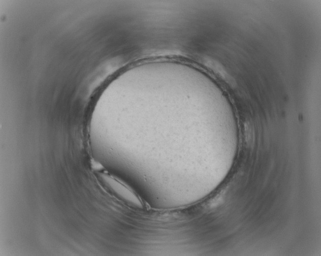 X0000076301165200610271907