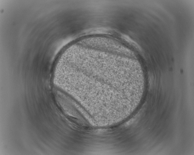 X0000076301166200610271907