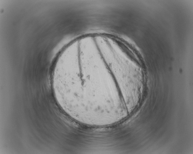 X0000076301167200610271907