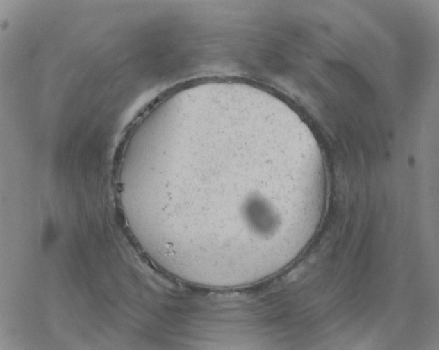 X0000076301168200610271907