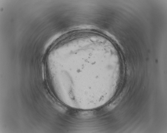 X0000076301171200610271907