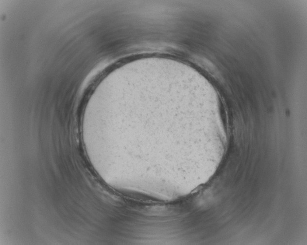 X0000076301172200610271907