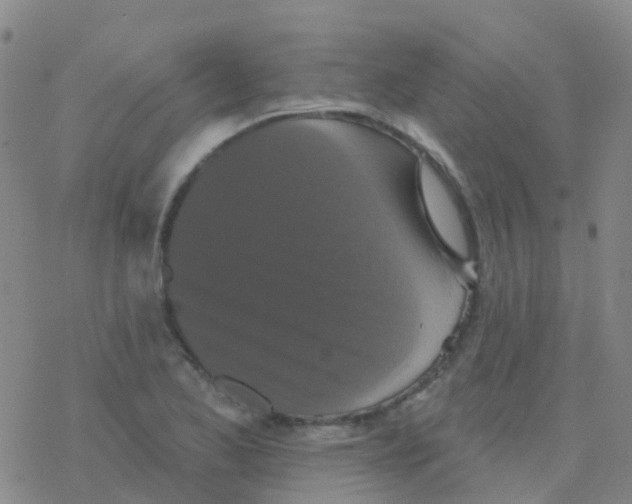 X0000076301173200610271907