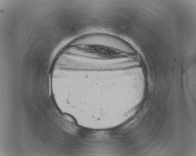 X0000076301175200610271906