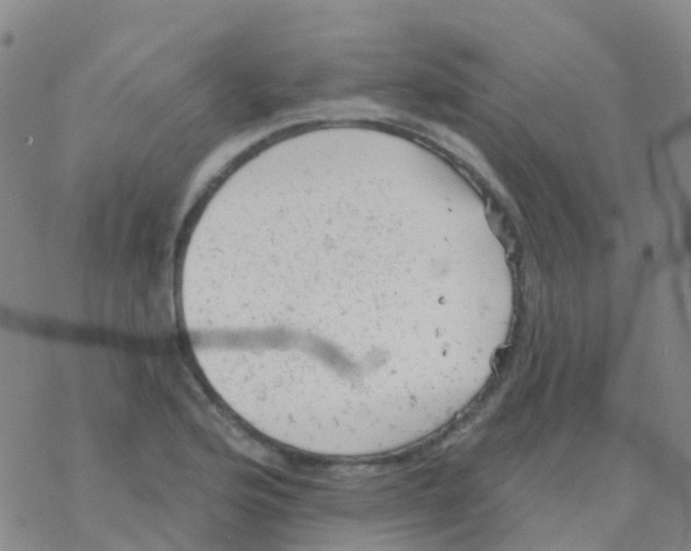 X0000076301176200610271906