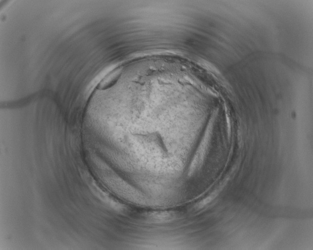 X0000076301177200610271906