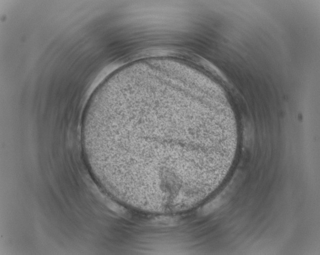 X0000076301178200610271906