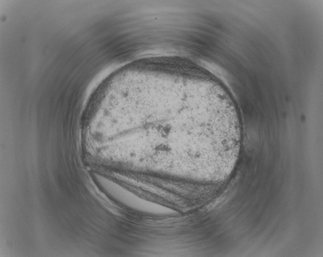 X0000076301179200610271906