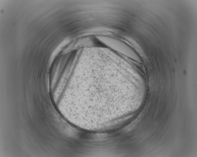 X0000076301180200610271906