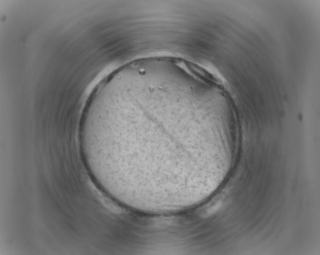 X0000076301181200610271906