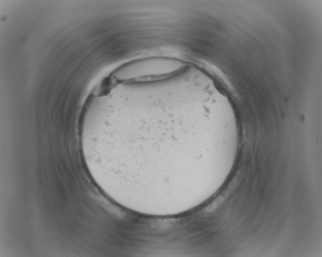 X0000076301184200610271906